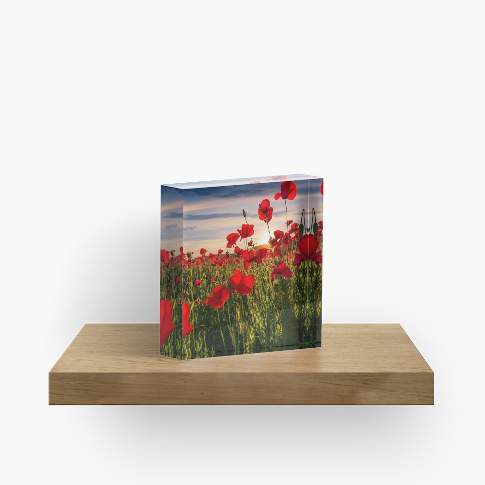 Item preview, Acrylic Block designed and sold by mike-pellinni.