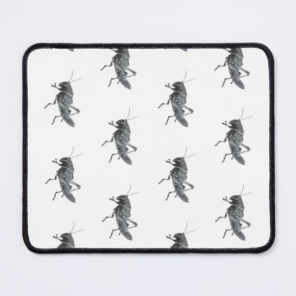 Item preview, Reticulate Lubber (Taeniopoda eques) designed and sold by SylviaminiArt.
