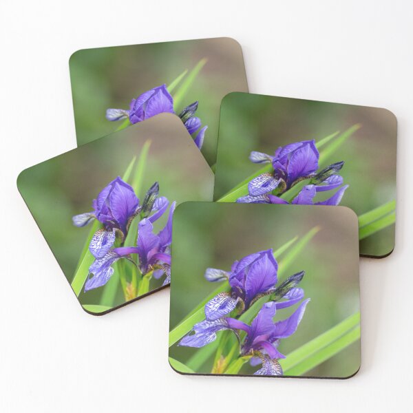 Item preview, Blue iris flower designed and sold by Zentura.