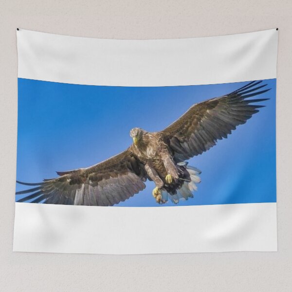 Item preview, bird designed and sold by Steph's World.