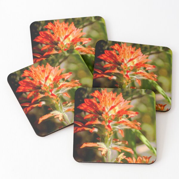 Item preview, Indian Paintbrush designed and sold by Photos, and Drawings, and Hybrids!!!!! Oh my!.