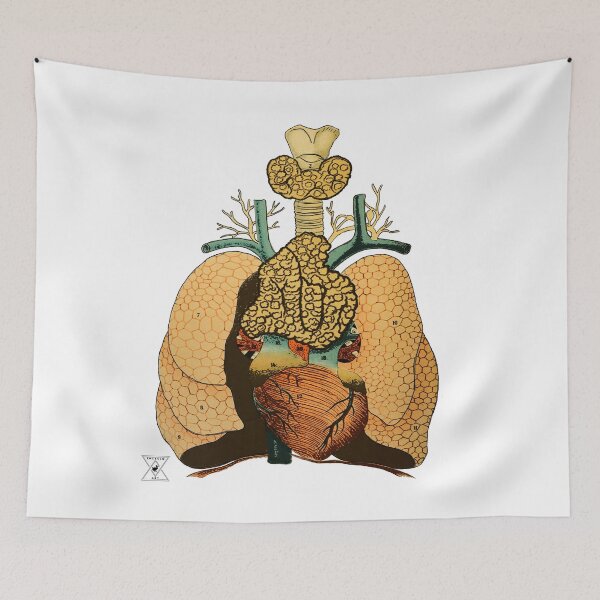 Item preview, Human Lung Anatomy | Science Physiology Illustration designed and sold by encyclo-art.