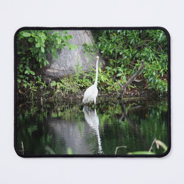 Item preview, White Egret Refection designed and sold by Cynthia48.
