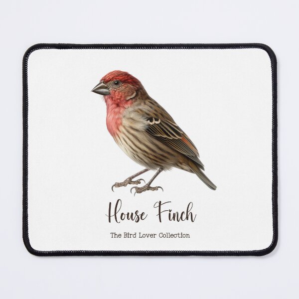 Item preview, House Finch - The Bird Lover Collection designed and sold by GoodOldVintage.