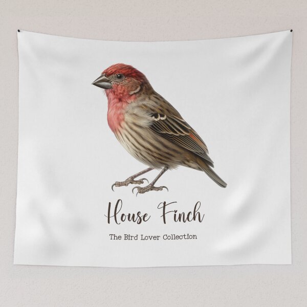 Item preview, House Finch - The Bird Lover Collection designed and sold by GoodOldVintage.
