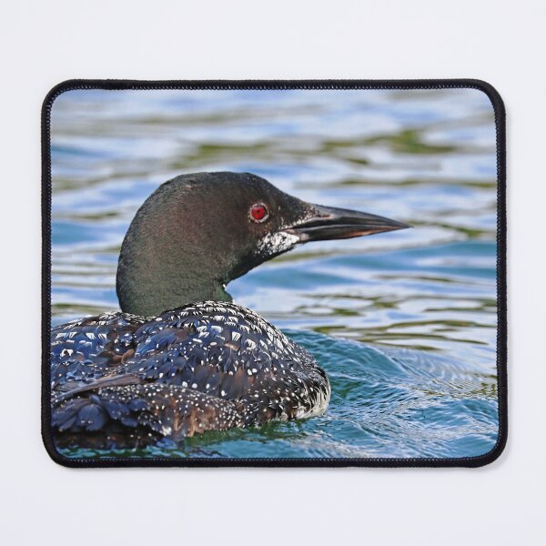 Item preview, Common Loon Portrait designed and sold by Debbie Oppermann.