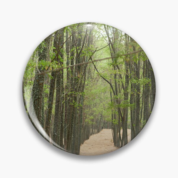 Item preview, Planted acacia in afforestation designed and sold by ioankoll213.