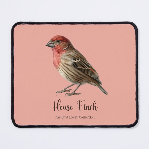 Item preview, House Finch - The Bird Lover Collection designed and sold by GoodOldVintage.