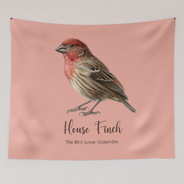 Item preview, House Finch - The Bird Lover Collection designed and sold by GoodOldVintage.