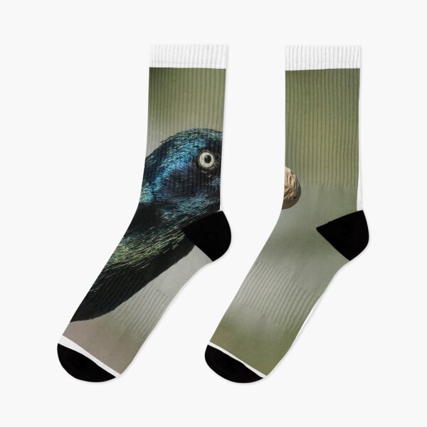 Item preview, A Grackle With A Peanut designed and sold by FreelanceJim.