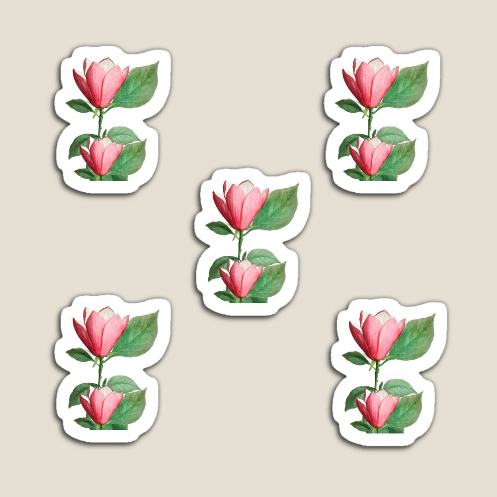 pink classic flowers, sticker pack,flower,Flower stickers for children and  adults Sticker for Sale by CirJan