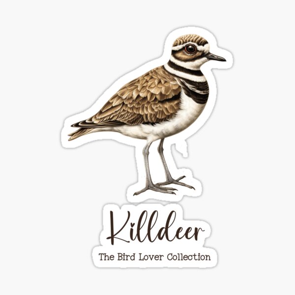 Item preview, Killdeer - The Bird Lover Collection designed and sold by GoodOldVintage.
