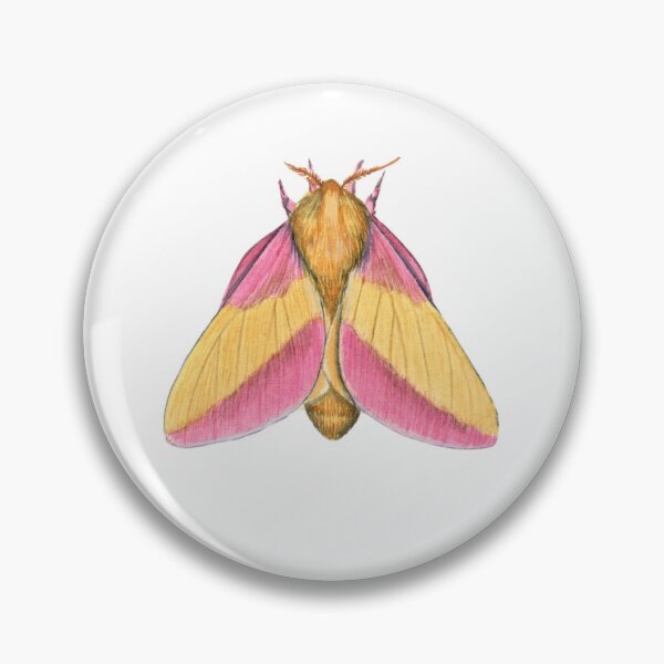 Item preview, Rosy Maple Moth 2 (Dryocampa rubicunda) designed and sold by JadaFitch.