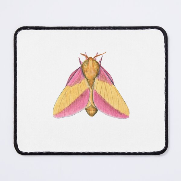 Item preview, Rosy Maple Moth 2 (Dryocampa rubicunda) designed and sold by JadaFitch.