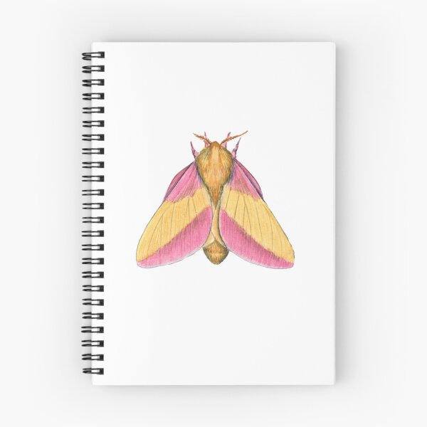 Item preview, Rosy Maple Moth 2 (Dryocampa rubicunda) designed and sold by JadaFitch.