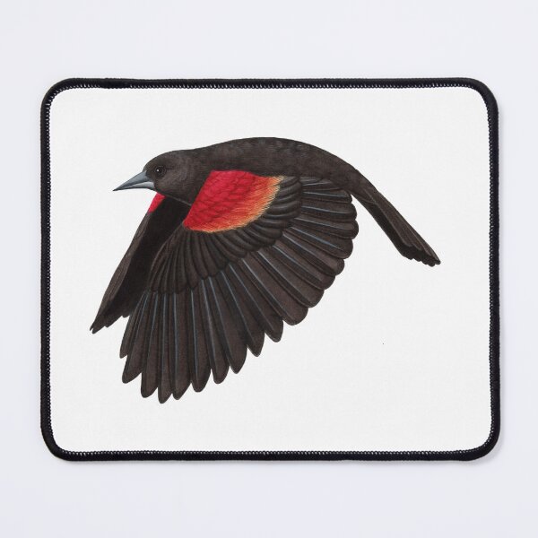 Item preview, Red-winged Blackbird designed and sold by JadaFitch.