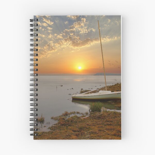 Item preview, Ebb designed and sold by Steve Walser.