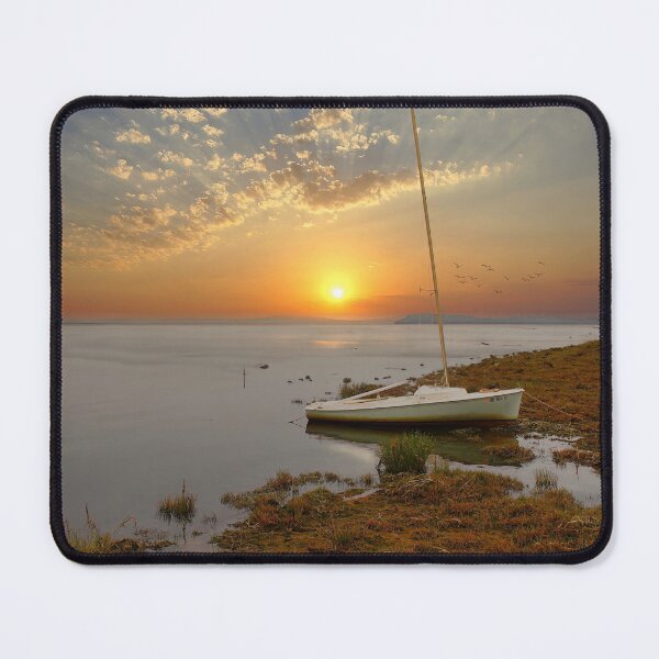 Item preview, Ebb designed and sold by Steve Walser.