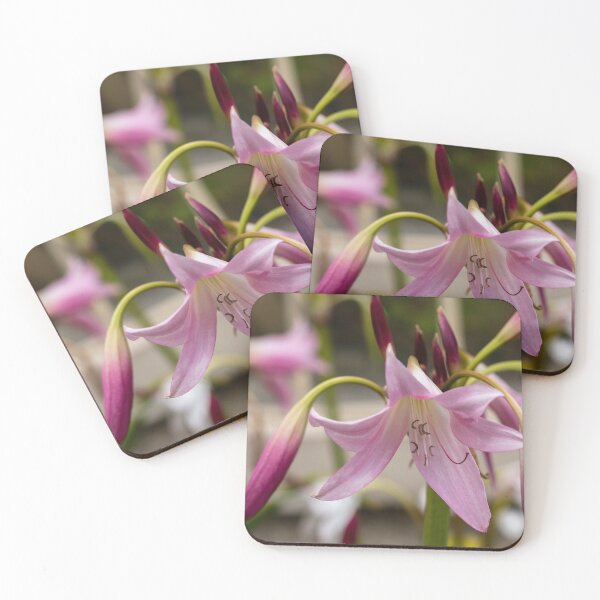 Artikelvorschau, Lilienblumenfotografie entworfen und verkauft von Zentura.