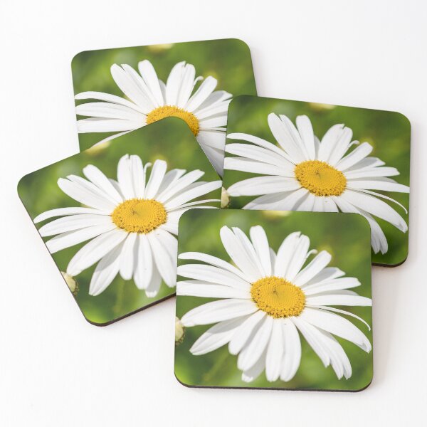 Item preview, Daisy photography designed and sold by Zentura.