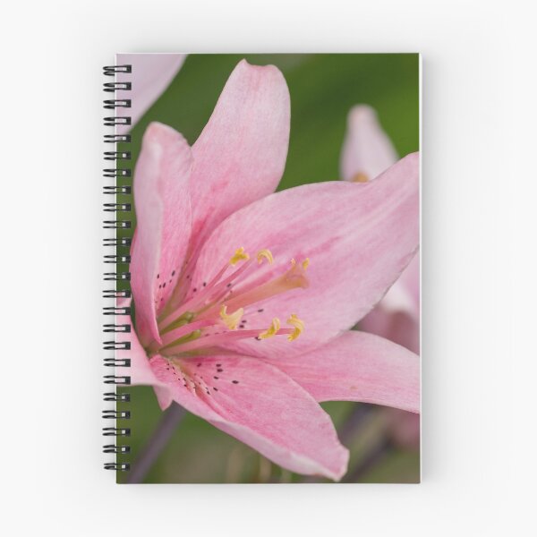 Item preview, Lily flower photo designed and sold by Zentura.