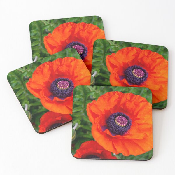 Item preview, Gigant Poppy flower designed and sold by Zentura.