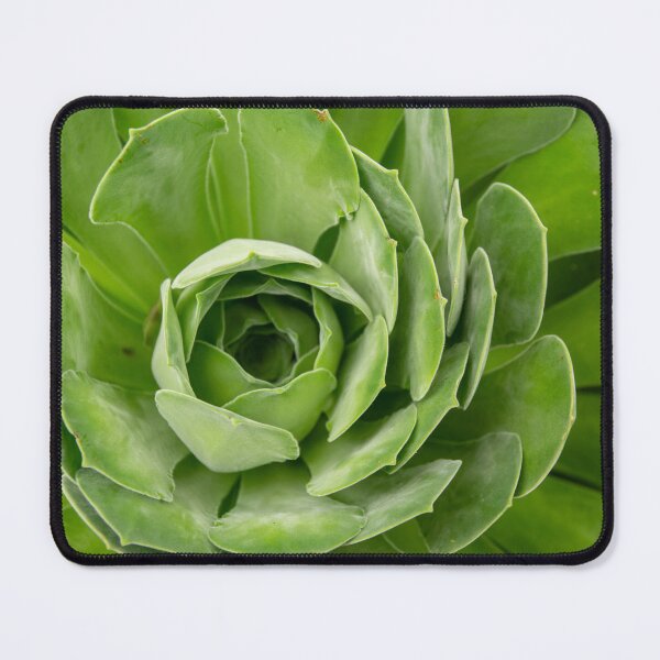 Item preview, Succulent macro photo designed and sold by Zentura.