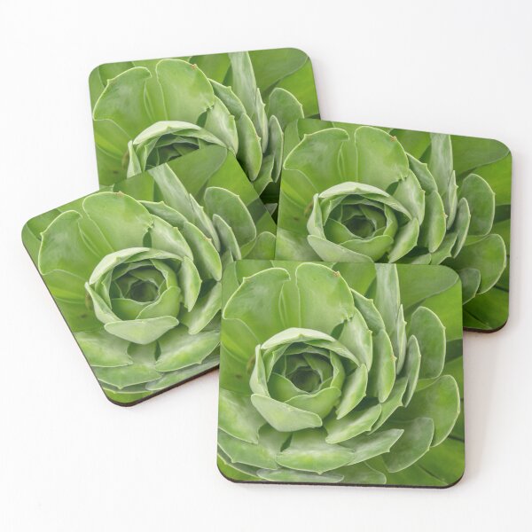 Item preview, Succulent macro photo designed and sold by Zentura.