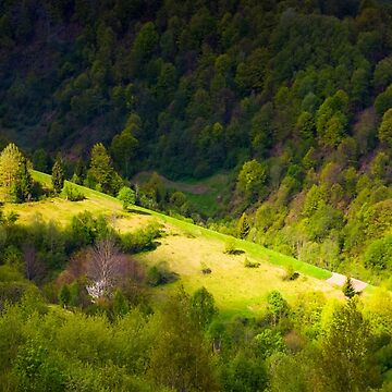Artwork thumbnail, spot of light on forested hillside by mike-pellinni