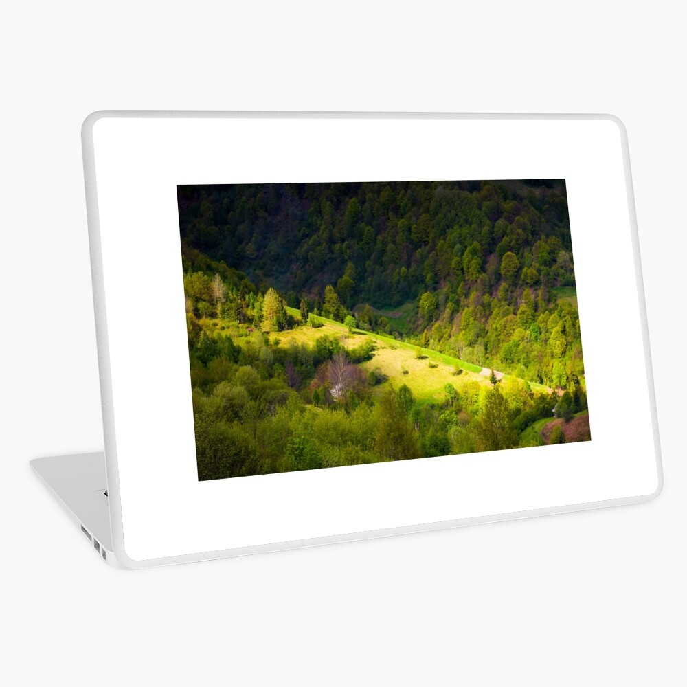 Item preview, Laptop Skin designed and sold by mike-pellinni.