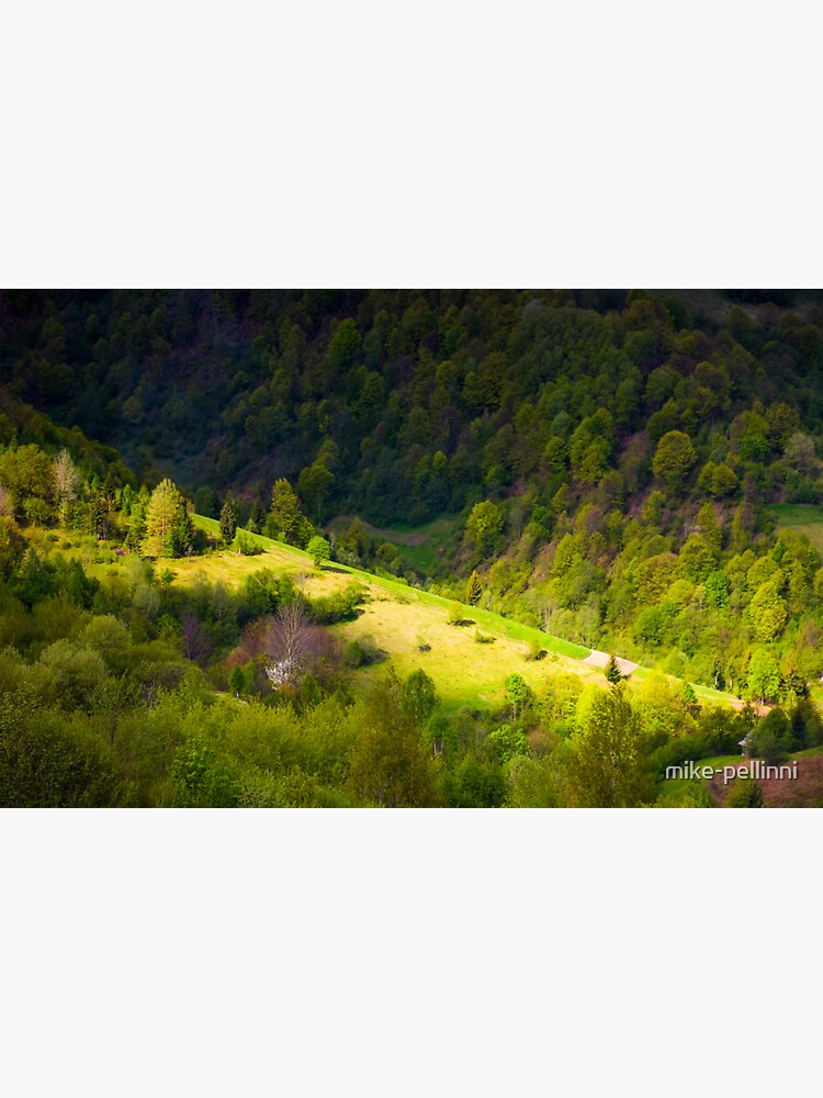 Thumbnail 3 of 3, Sticker, spot of light on forested hillside designed and sold by mike-pellinni.