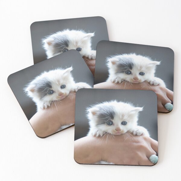 Item preview, Kitten designed and sold by KNBS.