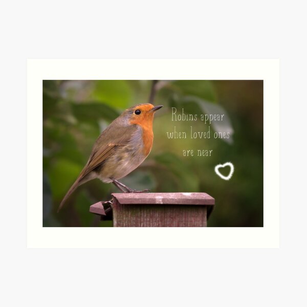 Robins Appear When Loved Ones Are Near Art Print