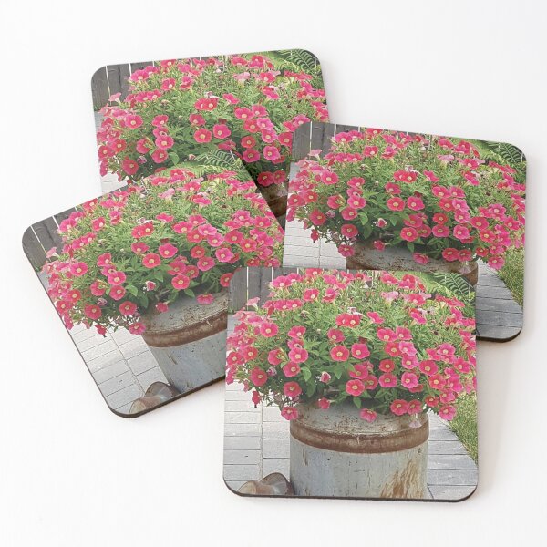 Item preview, Calibrochoa in the Cream Can designed and sold by Diane Petker.