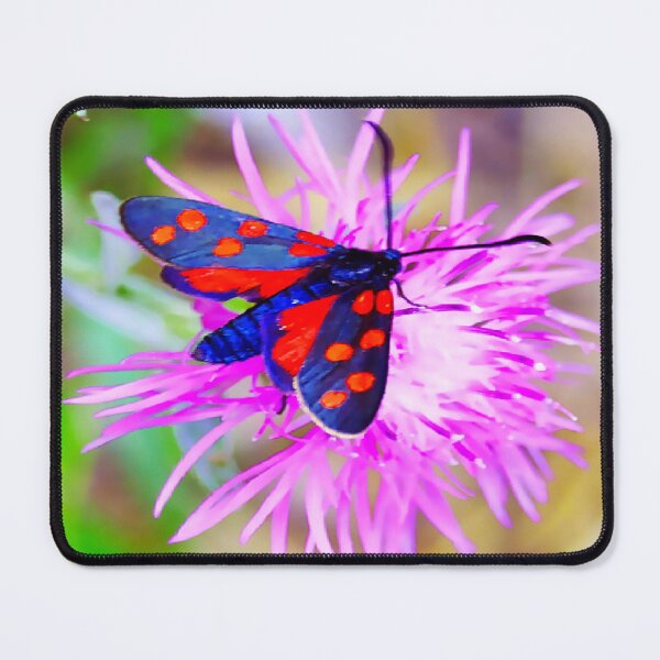 Item preview, BUTTERFLY ON FLOWER designed and sold by JuanitaCapogna.
