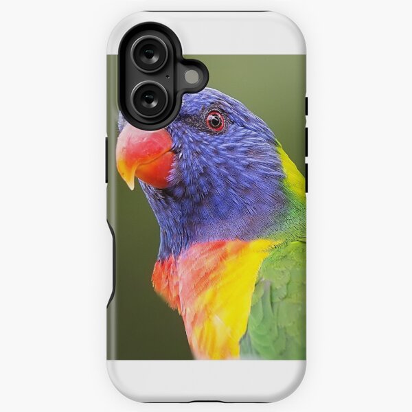 Rainbow Lorikeet iPhone Tough Case
