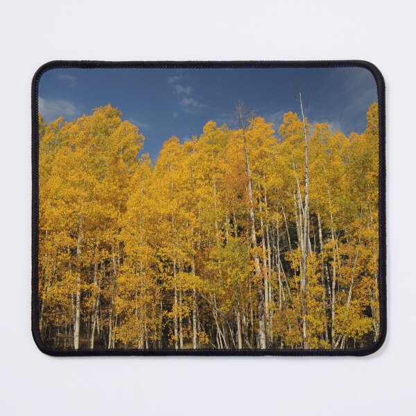Item preview, Aspen Grove designed and sold by Printriff.