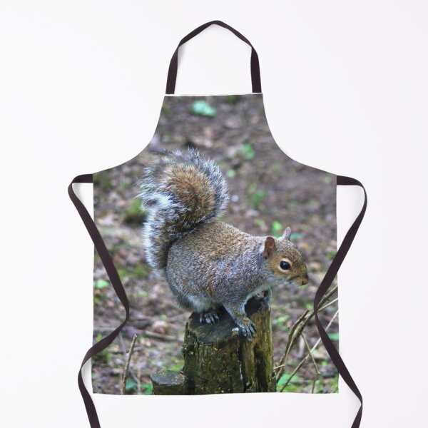 Item preview, Posing Grey Squirrel designed and sold by MartinPhotos.