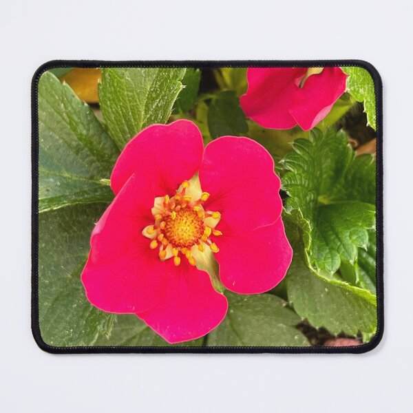Item preview, strawberry flower designed and sold by Ponted.