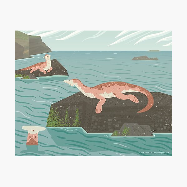 Atopodentatus by the Sea Photographic Print
