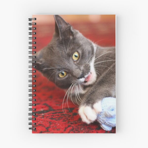 Item preview, Playful kitten designed and sold by GreyFeatherPhot.