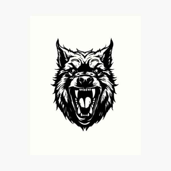 Portrait of a furious gray wolf. Angry wolf roaring isolated on