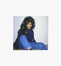 Lámina rígida mariposa sza