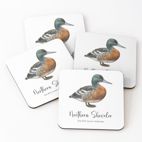 Item preview, Northern Shoveler  - The Bird Lover Collection designed and sold by GoodOldVintage.