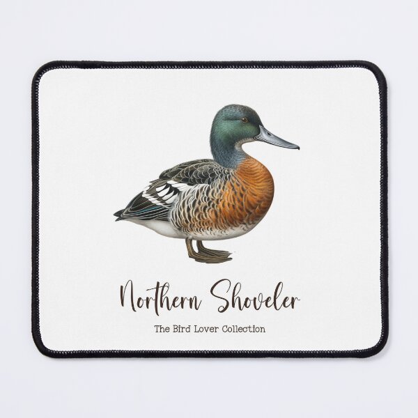 Item preview, Northern Shoveler  - The Bird Lover Collection designed and sold by GoodOldVintage.