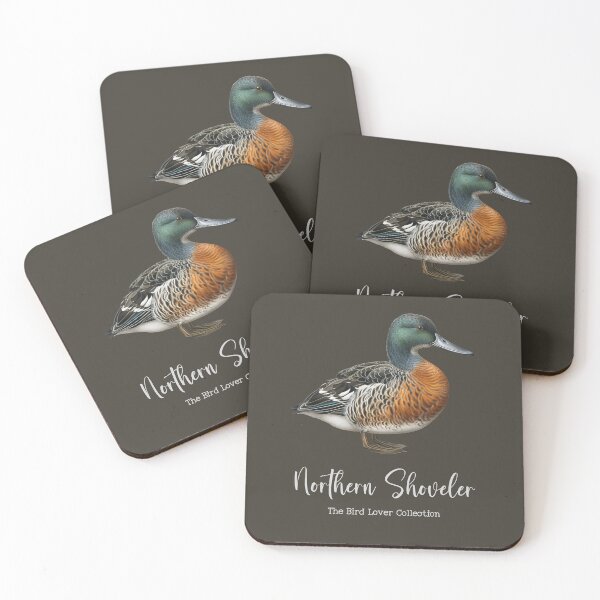 Item preview, Northern Shoveler  - The Bird Lover Collection designed and sold by GoodOldVintage.