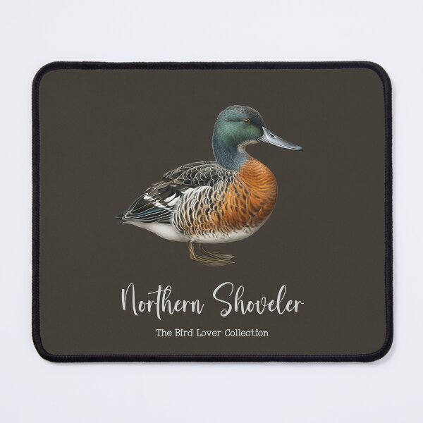 Item preview, Northern Shoveler  - The Bird Lover Collection designed and sold by GoodOldVintage.