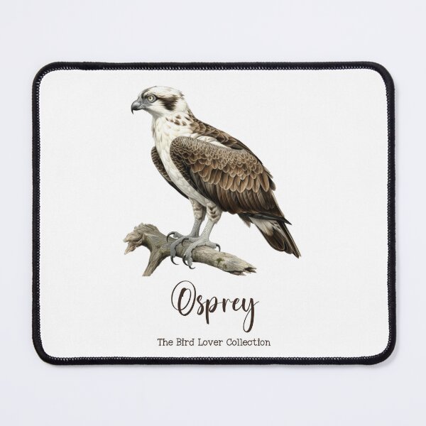 Item preview, Osprey  - The Bird Lover Collection designed and sold by GoodOldVintage.