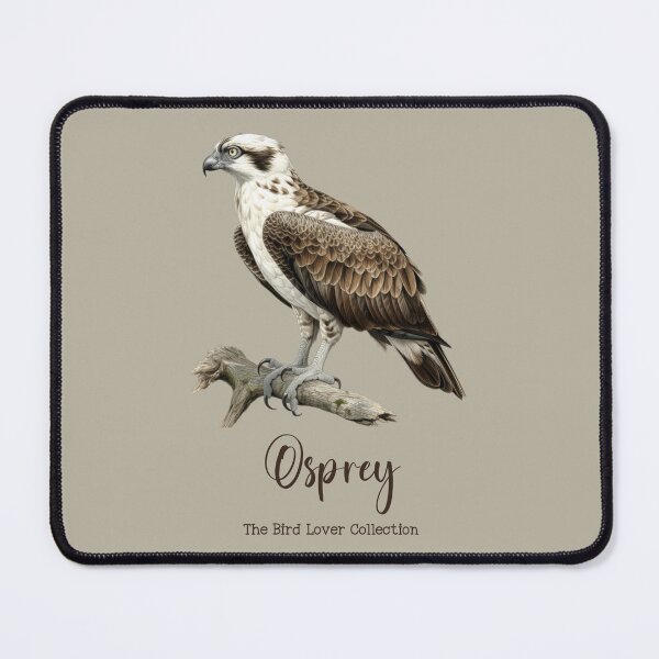 Item preview, Osprey  - The Bird Lover Collection designed and sold by GoodOldVintage.