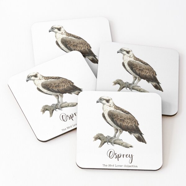 Item preview, Osprey  - The Bird Lover Collection designed and sold by GoodOldVintage.